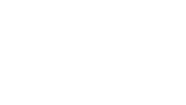 Sega